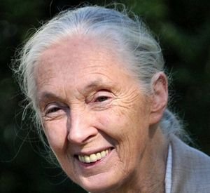 Jane Goodall